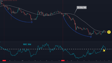 XRP muss dieses kritische Niveau halten, um einen Absturz zu verhindern (Ripple Preisanalyse)
