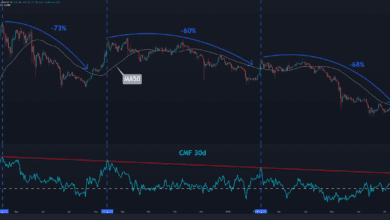 Zwei wahrscheinliche Szenarien für XRP, wenn sich der Preis 0,3 $ nähert (Ripple Preisanalyse)