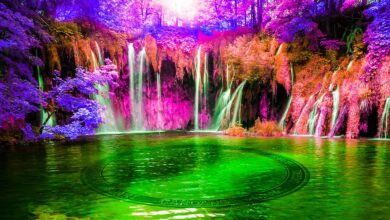 Analyst, der 2022 Krypto-Kollaps rief, gibt Cardano (ADA) Alarm - hier ist sein Kursziel