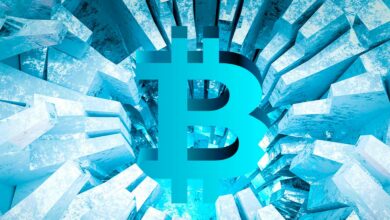 Anthony Scaramucci, CEO von Hedgefonds, sagt, dass Bitcoin 70 % unter dem fairen Wert liegt, und prognostiziert eine kurze Rezession in diesem Jahr: Bericht