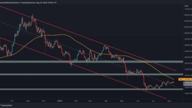 BTC steigt aufgrund der CPI-Zahlen in Richtung $24K, wird der Widerstand fallen? (Bitcoin Preis Analyse)
