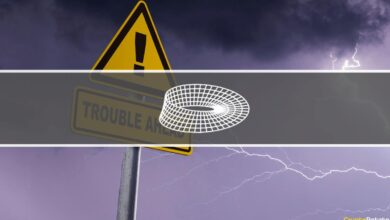 BendDAO in Bedrängnis, Ethereum Reserven geleert