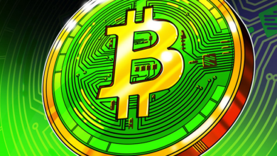 Bitcoin Cash (BCH) Stahl taumelt vom gestrigen Preisverfall