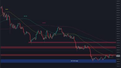 Bitcoin auf der Suche nach einer Richtung, werden $24K endlich fallen? (BTC Preis Analyse)