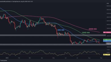 Bitcoin droht ein Zusammenbruch von 20.000 $, hier ist die nächste Stufe, die es zu beobachten gilt (BTC-Preisanalyse)