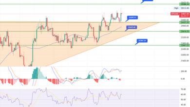Bitcoin erhält Unterstützung bei 24.200 $ – Bulls Eyeing zielt auf 25.500 $ ab