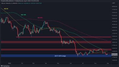 Bitcoin verteidigt 20.000 $, aber steht ein weiterer Rückgang unmittelbar bevor? (BTC-Preisanalyse)