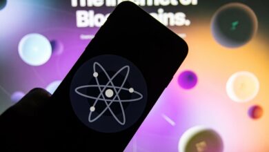 Cosmos ist jetzt auf 1xBit verfügbar