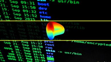 Curve Finance warnt vor kompromittiertem Frontend inmitten eines $570K-Diebstahls