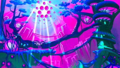 Der erfahrene Trader Tone Vays beschreibt mehrere Signale der Stärke für Bitcoin, sagt, dass das Umfeld für BTC bullisch wird