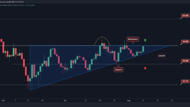 Dieser Indikator deutet darauf hin, dass SOL $60 erreichen kann, aber es gibt einen Haken (Solana-Preisanalyse)