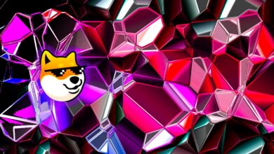 Dogecoin-Mitbegründer lehnt 14.000.000-Dollar-Angebot zur Förderung des viel gehypten Krypto-Projekts Dogechain ab