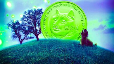 Dogecoin vor der Explosion? DOGE imitiert Bitcoin vor der massiven 2019er Rallye von BTC, sagt ein Krypto-Händler