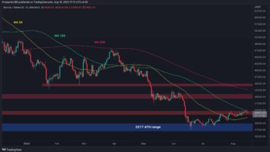 Hier ist die erste Unterstützung, wenn Bitcoin nicht über $24K ausbricht (BTC-Preisanalyse)