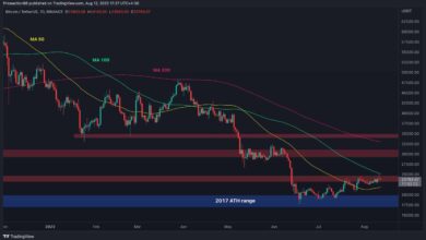 Kann Bitcoin endlich $24K durchbrechen oder kommt ein weiterer Absturz? (BTC-Preisanalyse)