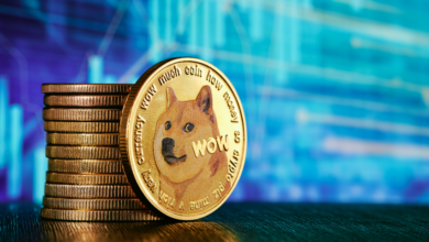 Kann Dogecoin (DOGE) die heutigen massiven Gewinne halten?