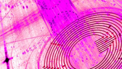 SEC trifft 11 Personen mit Anklagen im angeblichen 300.000.000-Dollar-Krypto-Ponzi-Schema