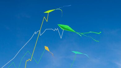 Weitere Aktien nehmen an der Bounceback Rally teil