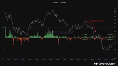 Wird Bitoin endlich $24.000 brechen oder ist ein weiterer Crash in Sicht? (BTC-Preisanalyse)