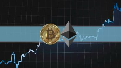 3 große Events kommen diese Woche