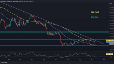 BTC steigt täglich um 9 % auf 21.000 $, hier ist die nächste Barriere für die Bullen (Bitcoin-Preisanalyse)