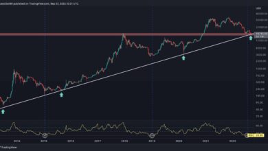 Bitcoin fällt auf historische Trendlinie, aber zinsbullische Zeichen blinken, Trendwende Inbound? (BTC-Preisanalyse)
