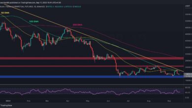 Bitcoin fällt unter 20.000 $, aber steht ein weiterer Rückgang unmittelbar bevor? (BTC-Preisanalyse)
