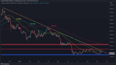 Bitcoin geht auf 20.000 $ zurück, aber ist der Schmerz vorbei? (BTC-Preisanalyse)