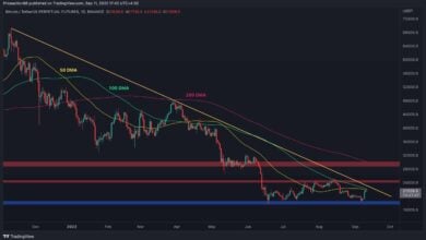 Bitcoin testet $22.000, aber besorgniserregende Zeichen beginnen zu blinken (BTC-Preisanalyse)