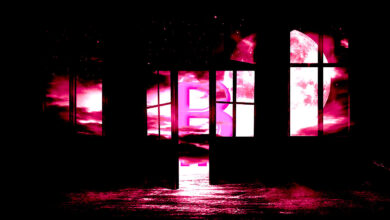 Bitcoiner, die nach „Moon or Doom“ suchen, sollten bis 2023 eines tun, sagt Krypto-Analyst Michaël van de Poppe