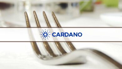 Das ehrgeizigste Upgrade von Cardano hat endlich ein bestätigtes Startdatum