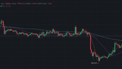 Der Bitcoin-Preis steigt über 20.000 $ und lässt über 160 Mio. $ Shorts liquidiert