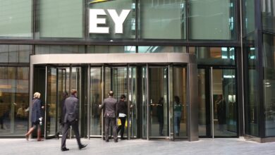 EY Leaders Green Light Split Plan