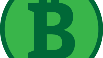 Erholt sich Bitcoin Cash (BCH) vom Rückgang am Dienstag?