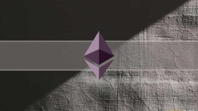 Ethereum Schließt Last Shadow Fork vor dem Übergang ab