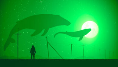 Ethereum Whale bewegt sich abrupt über 102.000.000 $ in ETH – Hier ist die Richtung der Krypto