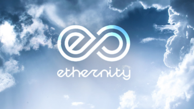 Ist Ethernity (ERN) nach dem heutigen Rückgang eine gute Investition?