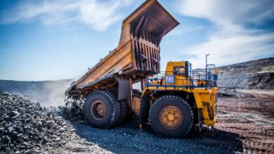 Lark Davis weist „lächerliche“ Pump-and-Dump-Vorwürfe zurück