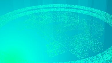 Laut einer neuen Forbes-Studie ist mehr als die Hälfte des täglichen Bitcoin-Handelsvolumens an Krypto-Börsen gefälscht