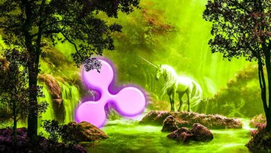 Ripple vs. SEC: Neue Klagen werden den Krypto-Raum für die kommenden Jahre beeinflussen, sagt Rechtsexperte