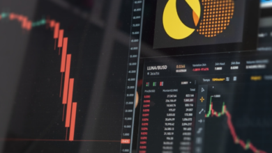 Terra Classic (LUNC) beginnt den Monat mit einem Knall