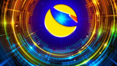 Terra (LUNA) explodiert um 204 % in nur 24 Stunden, während Bitcoin über 21.000 $ explodiert