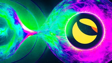 Terra Luna Classic (LUNC) explodiert um über 82 %, nachdem Binance ein neues Gebührenverbrennungssystem implementiert hat