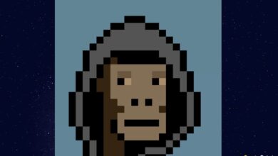 Trotz Bärenmarkttrends verkauft CryptoPunk 2924 für 4,5 Millionen Dollar in ETH Trotz Bärenmarkttrends verkauft CryptoPunk #2924 für 4,5 Millionen Dollar in ETH