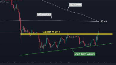XRP steigt wöchentlich um 20 % in den SEC-Nachrichten, aber es gibt einen Haken (Ripple Preisanalyse)