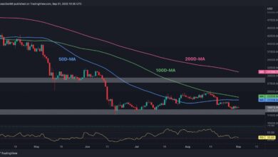 Zusammenbruch oder Rebound auf 22.000 $? (BTC-Preisanalyse)
