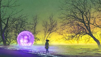 Bärische Stimmung unter institutionellen Anlegern zerstreut sich, da große Spieler aufhören, Bitcoin zu shorten: CoinShares