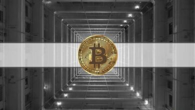 3 Gründe, warum Bitcoin den Boden erreichen könnte: ARK Invest Crypto Analyst