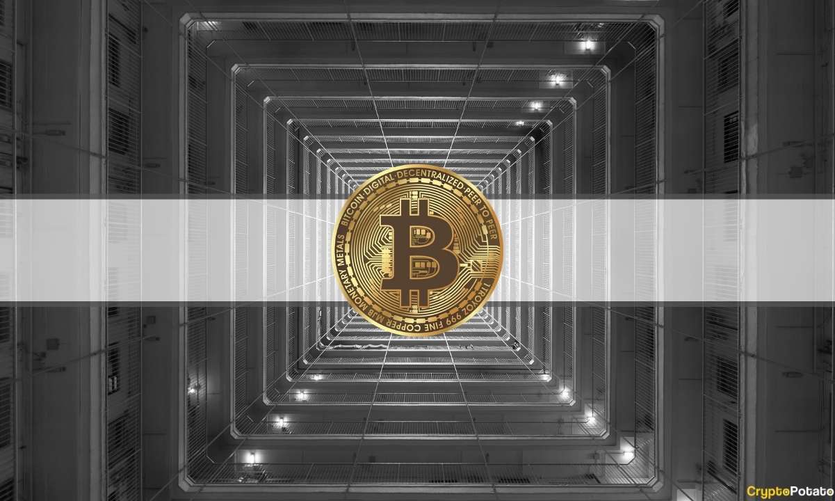 3 Gründe, warum Bitcoin den Boden erreichen könnte: ARK Invest Crypto Analyst