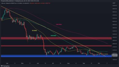 BTC bei 20.000 $ abgelehnt, sind 18.000 $ das nächste Ziel für Bären? (Bitcoin-Preisanalyse)